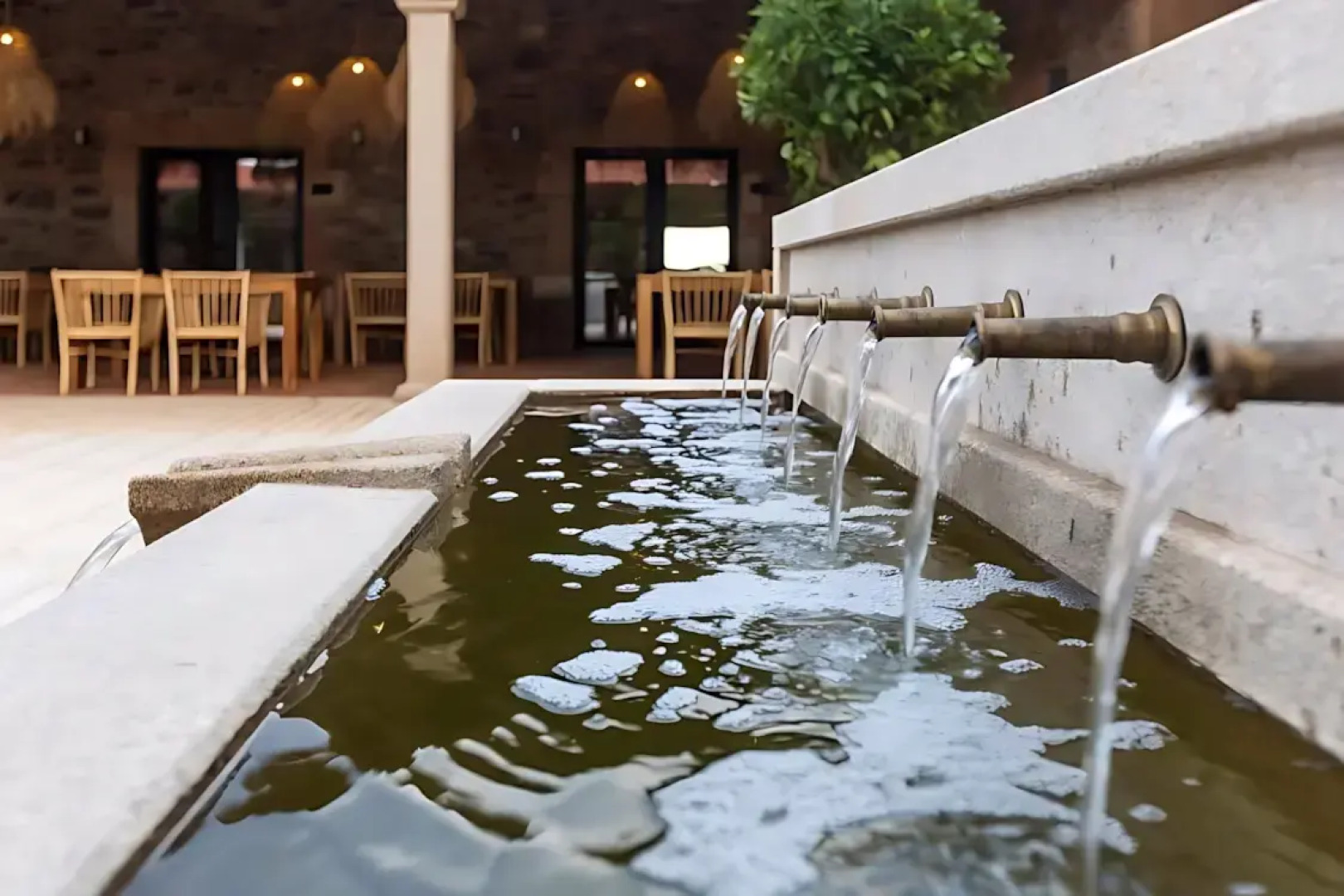 Hábitat Cigueña Negra