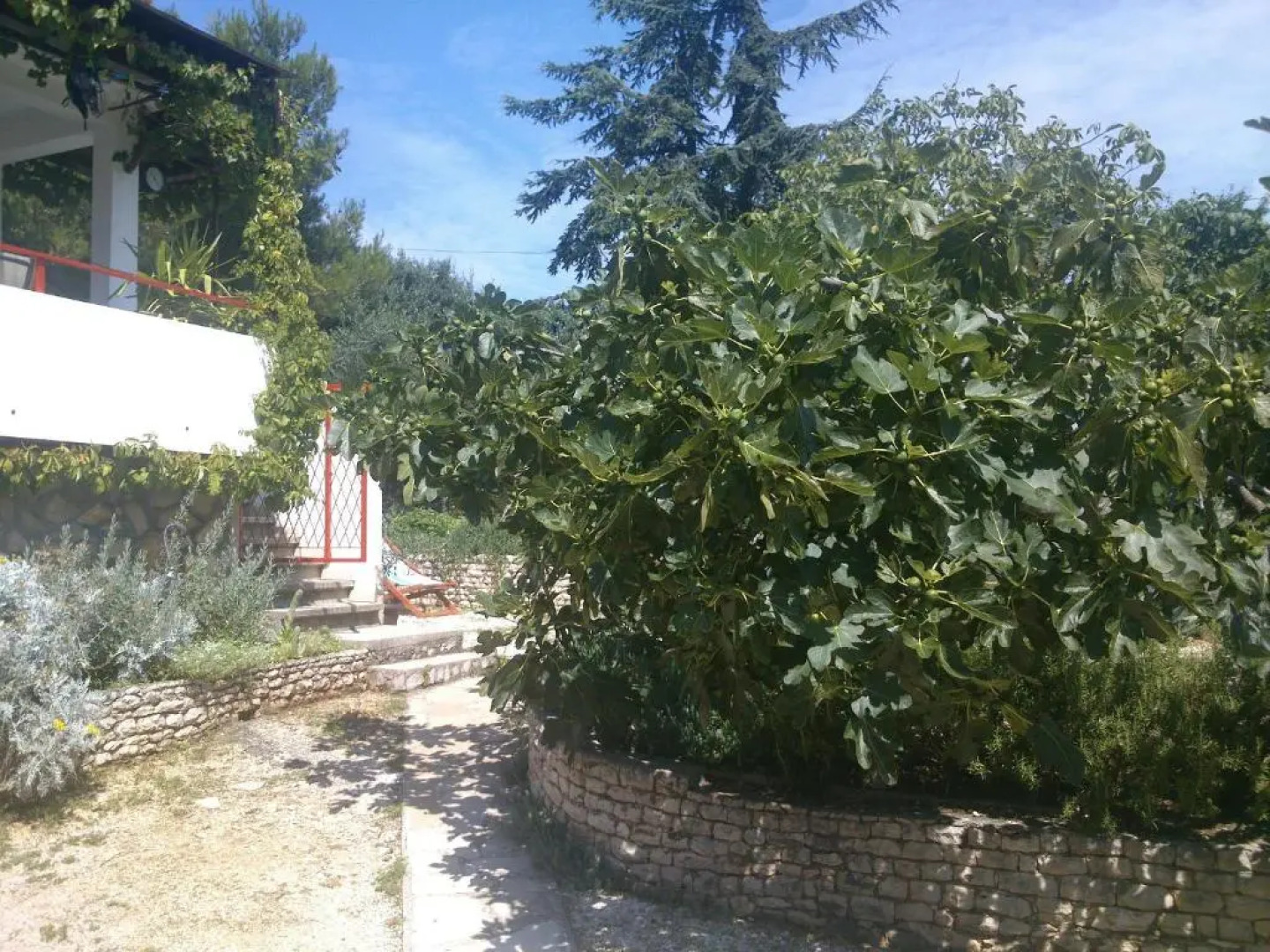 Apartment Gašparević