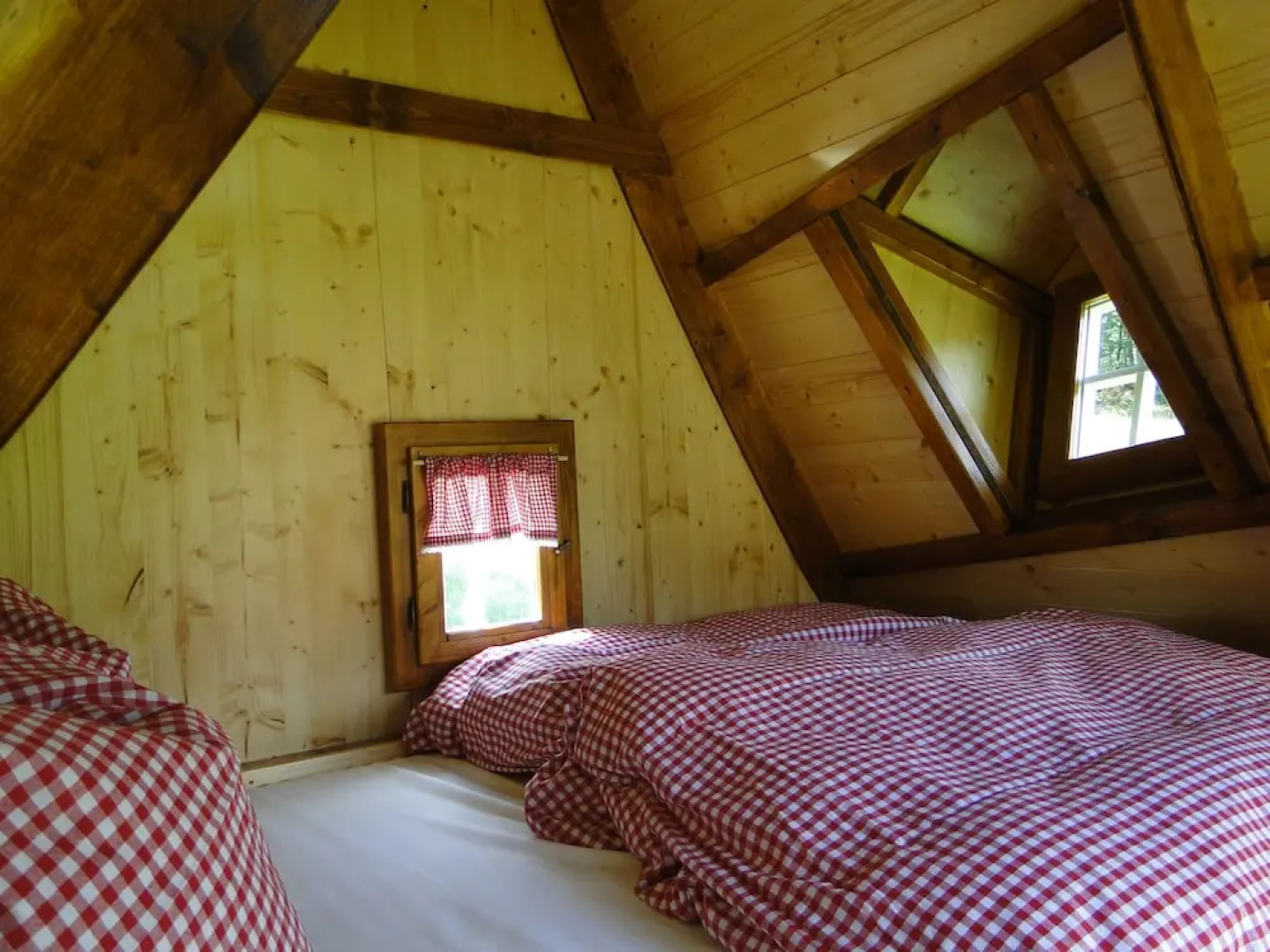 Bispinger Heidezauber