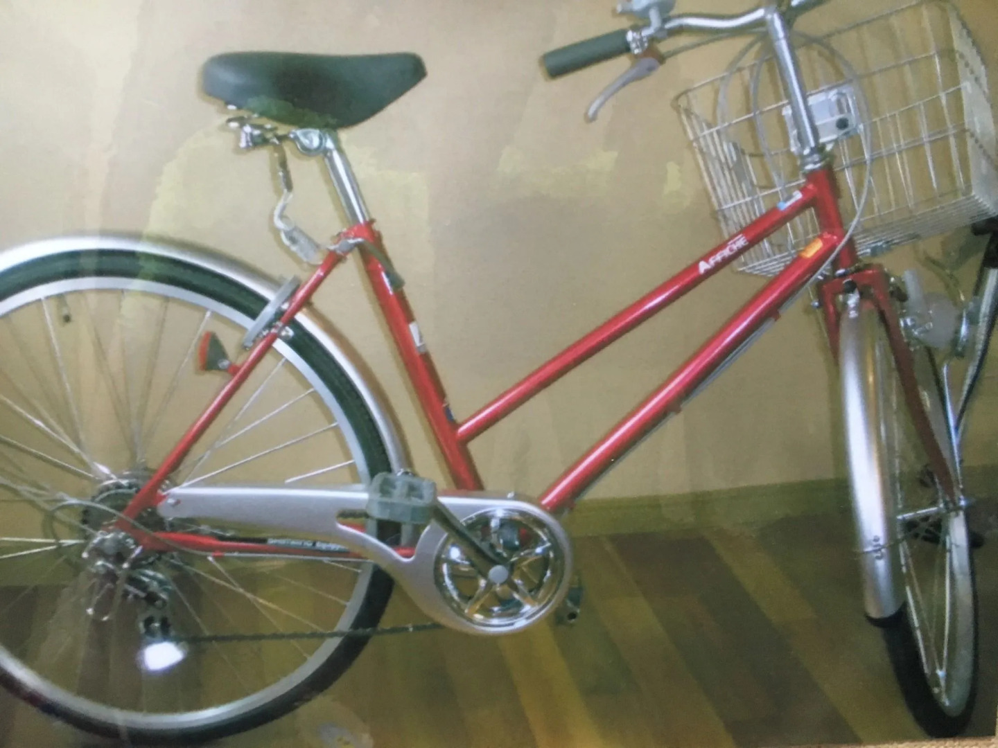 Mt Fuji Hostel Michael's