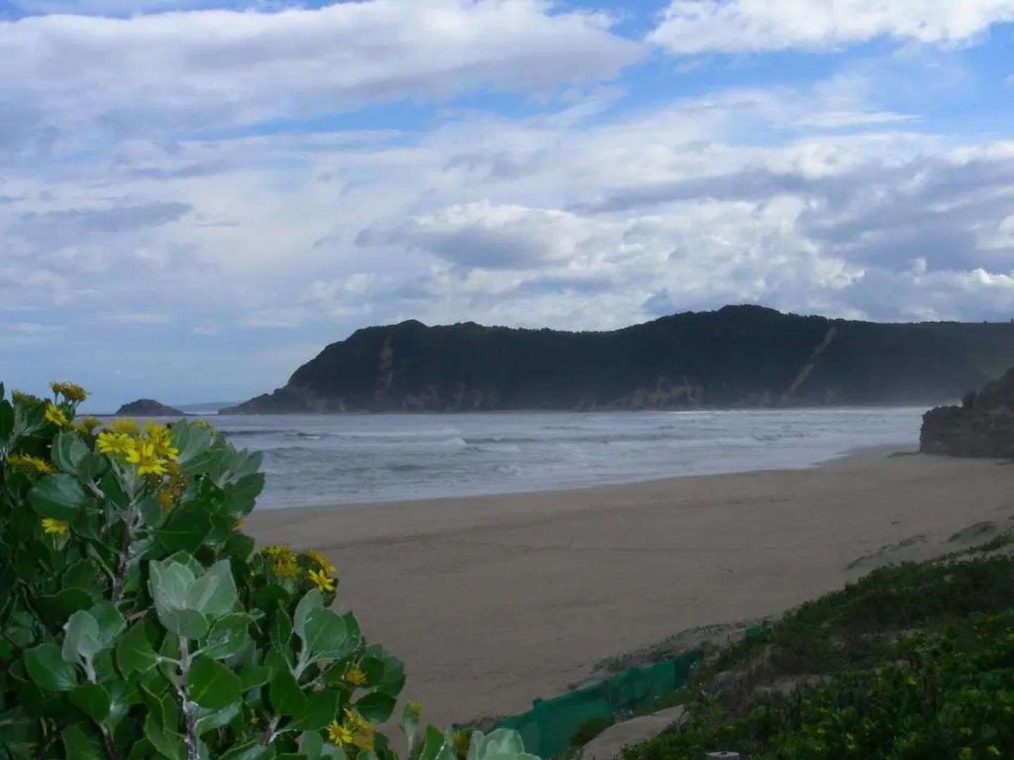 Sedgies on the Water