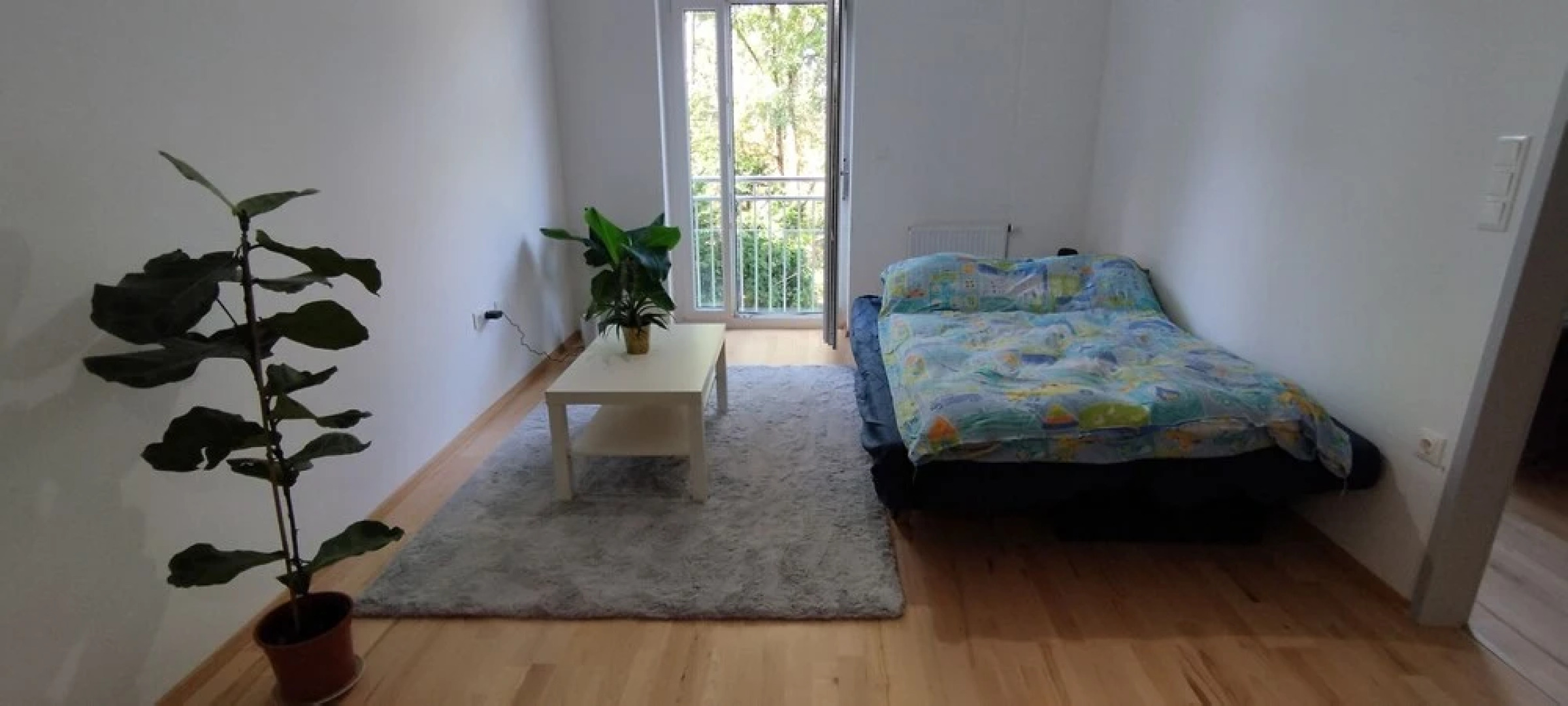 Beautiful Large Apartment in Leibnitz Center