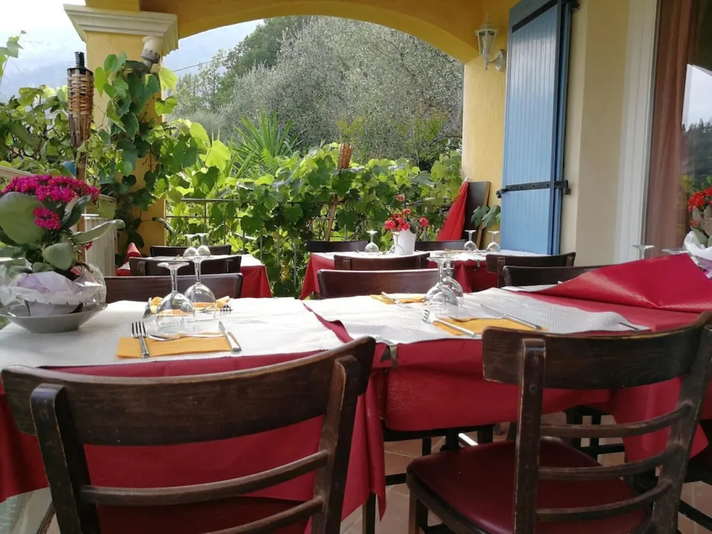 Oliveraie de la Leuziere