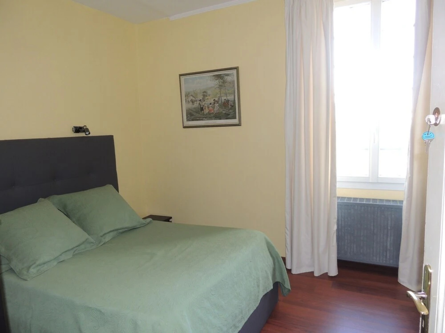 Le jardin des cygnes