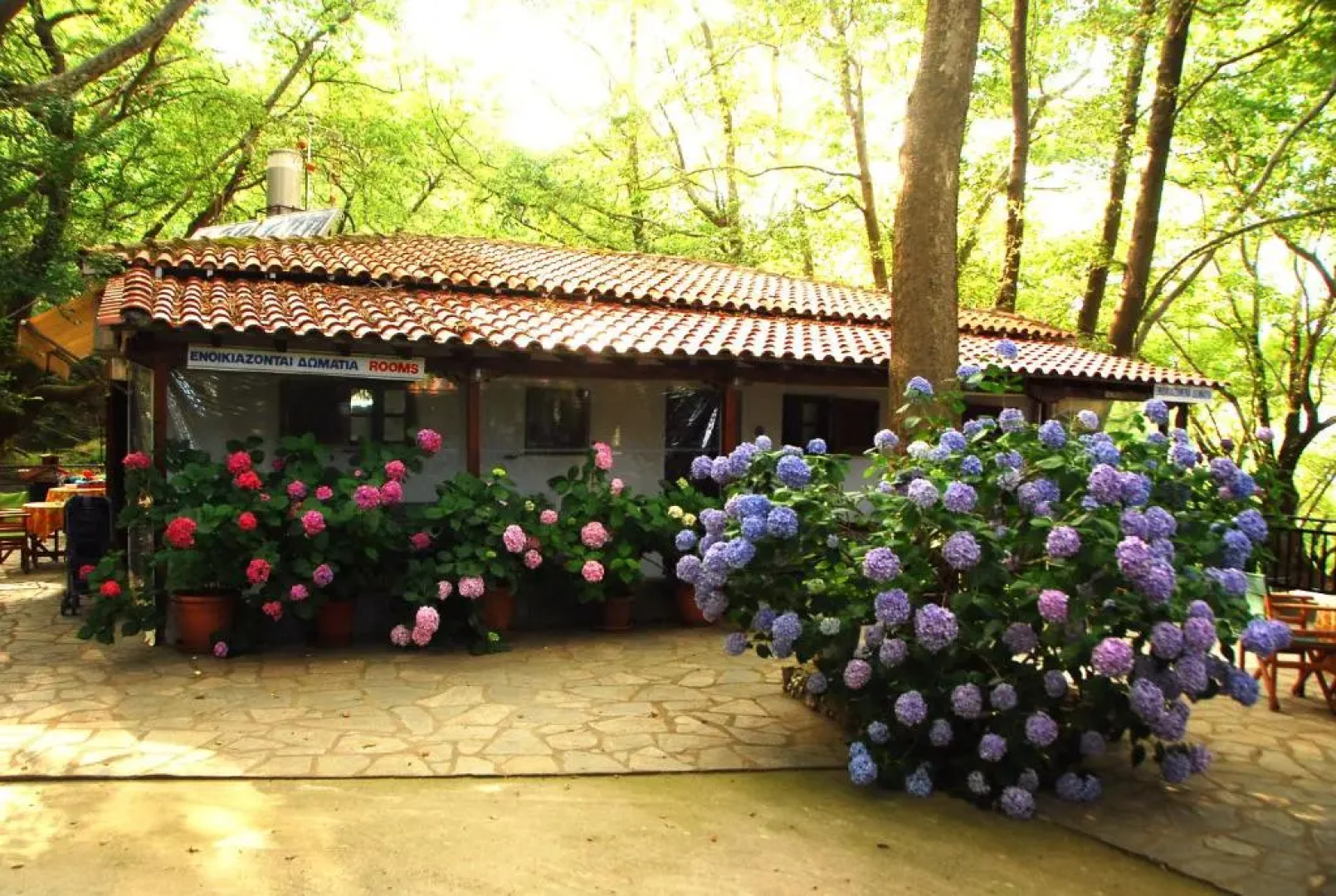 Tasoula Parselia Studios