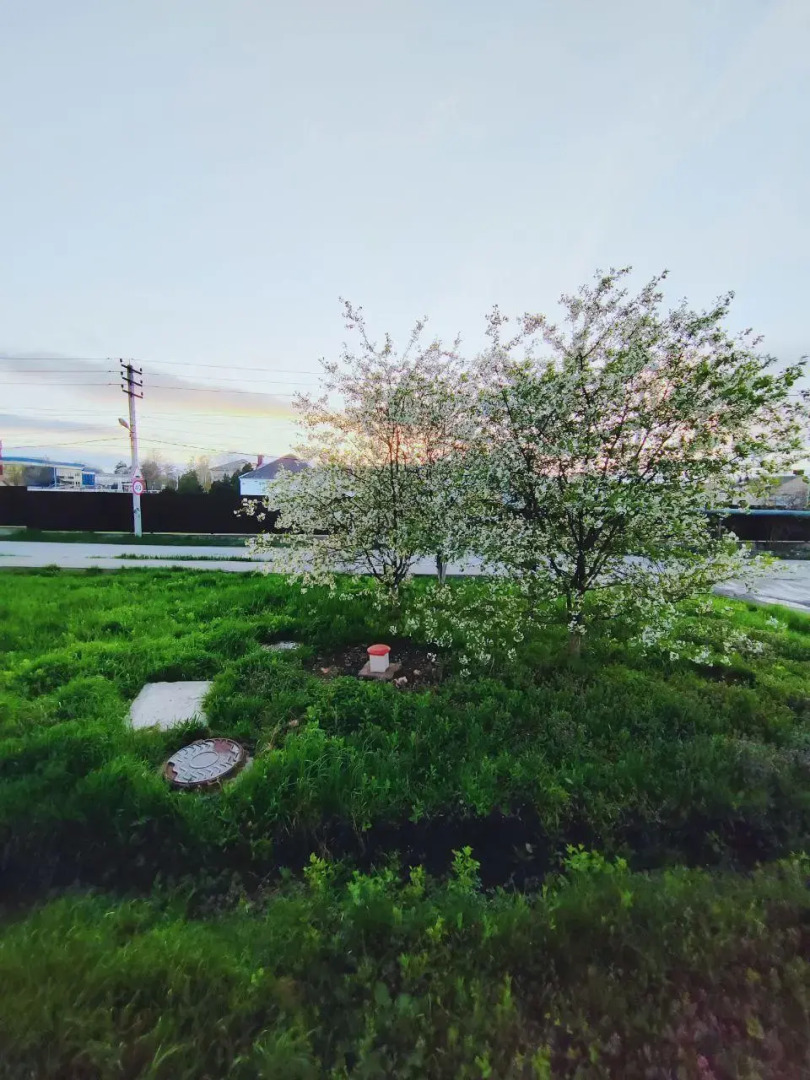 Sweet Home23 (Свит Хом23) на улице Крепостная