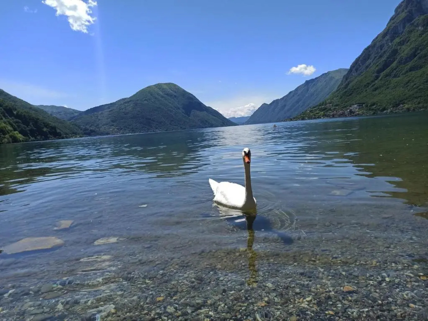 Bungalow SEAESTA Lago Di Lugano