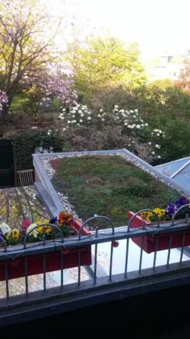 Bed en Broodje Bloem