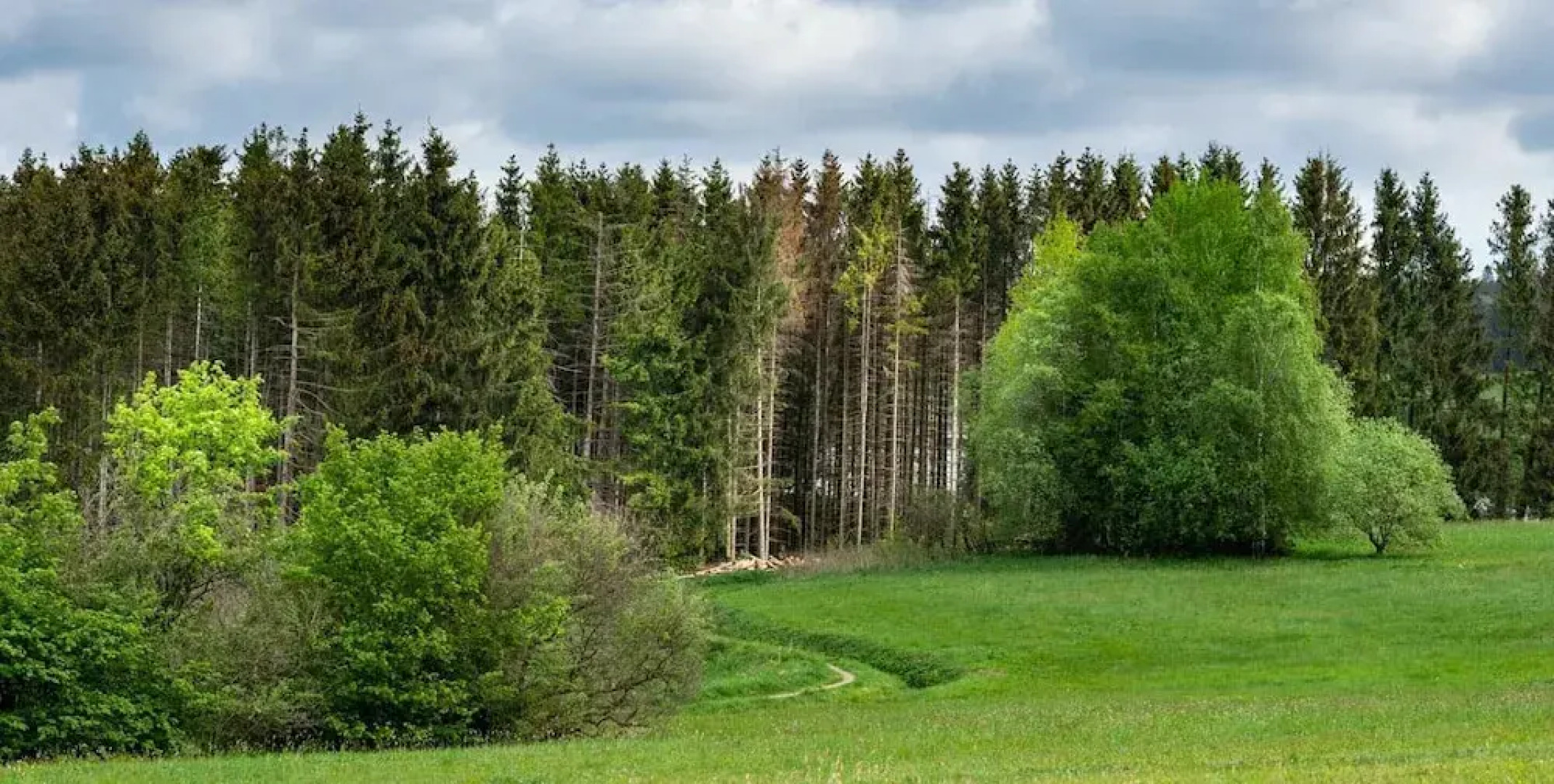 Tiny House in Buntenbock