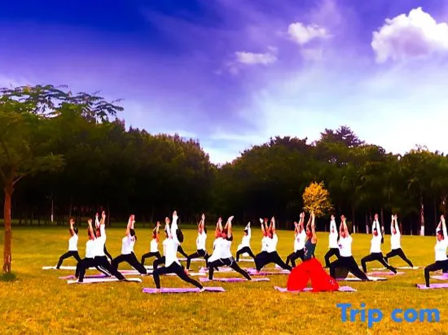 Diannan Phoenix Hotel