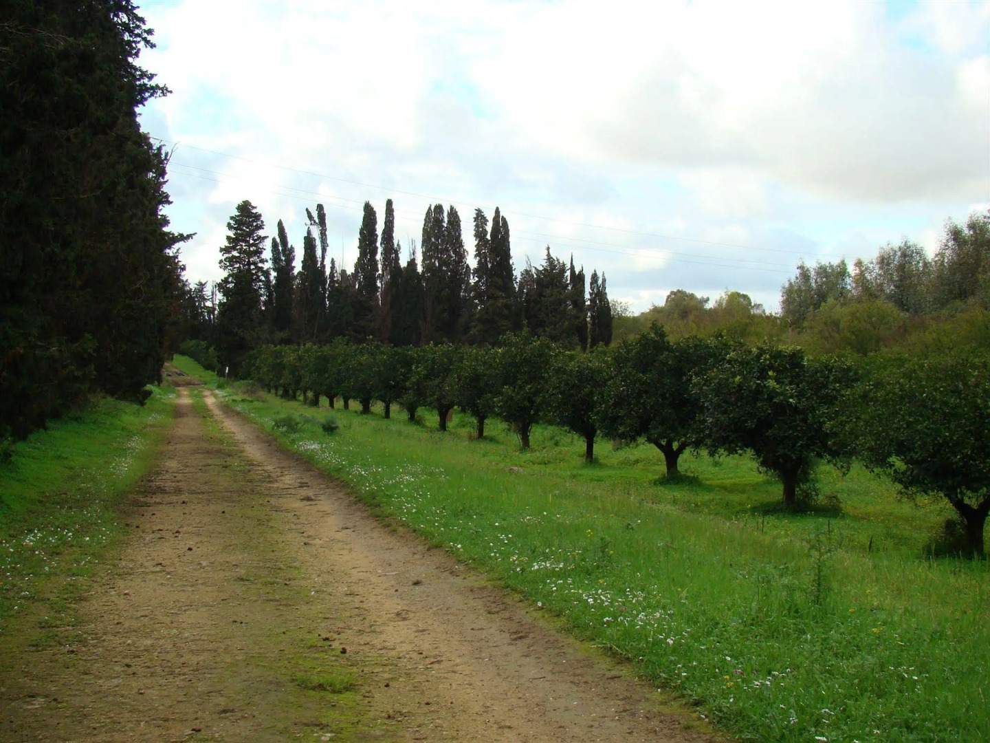 Case di Latomie Agriturismo - Turismo Rurale