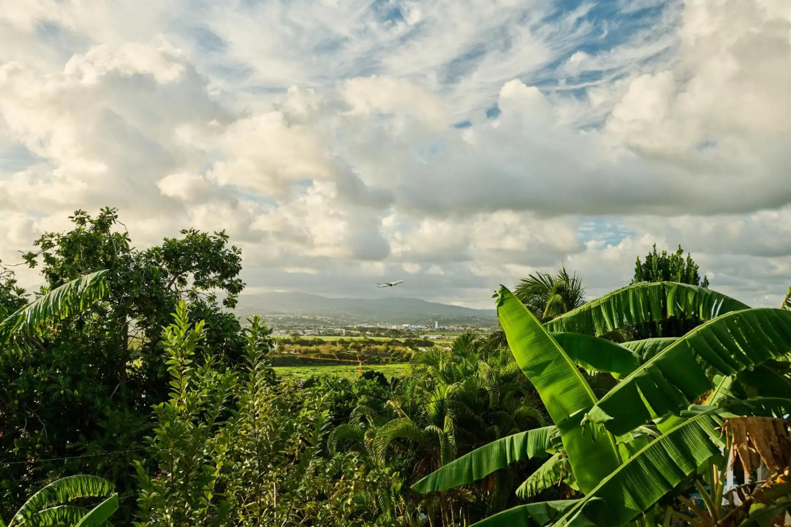 Suite cosy avec jacuzzi et jardin - BED AND COFFEE CITY