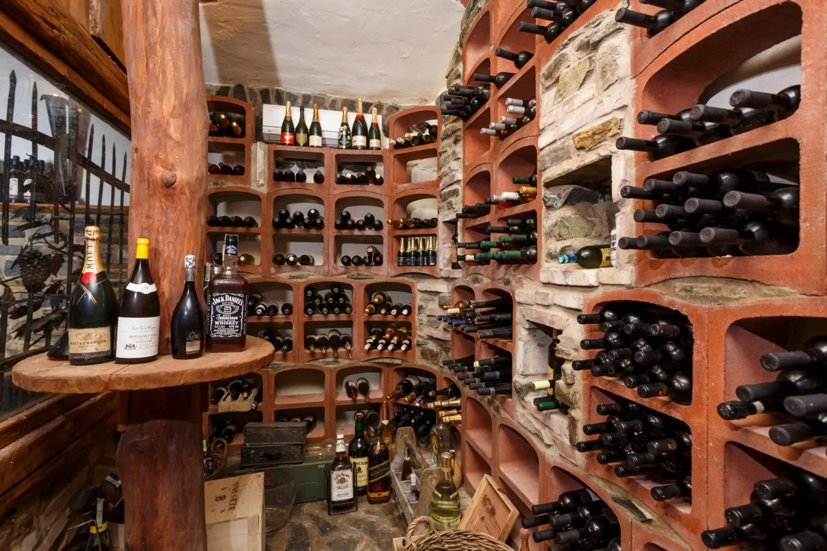 Pstruzi Mpty561 in Pstru