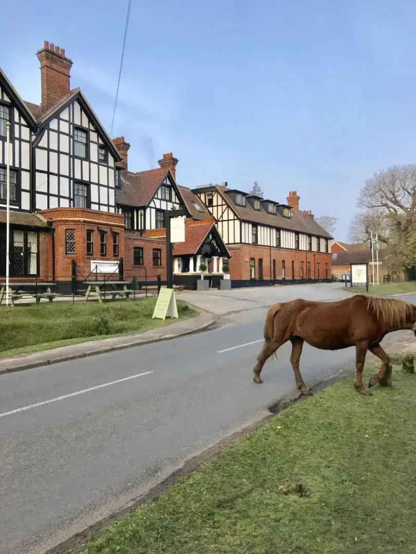 Forest Park Country Hotel & Inn, Brockenhurst, New Forest