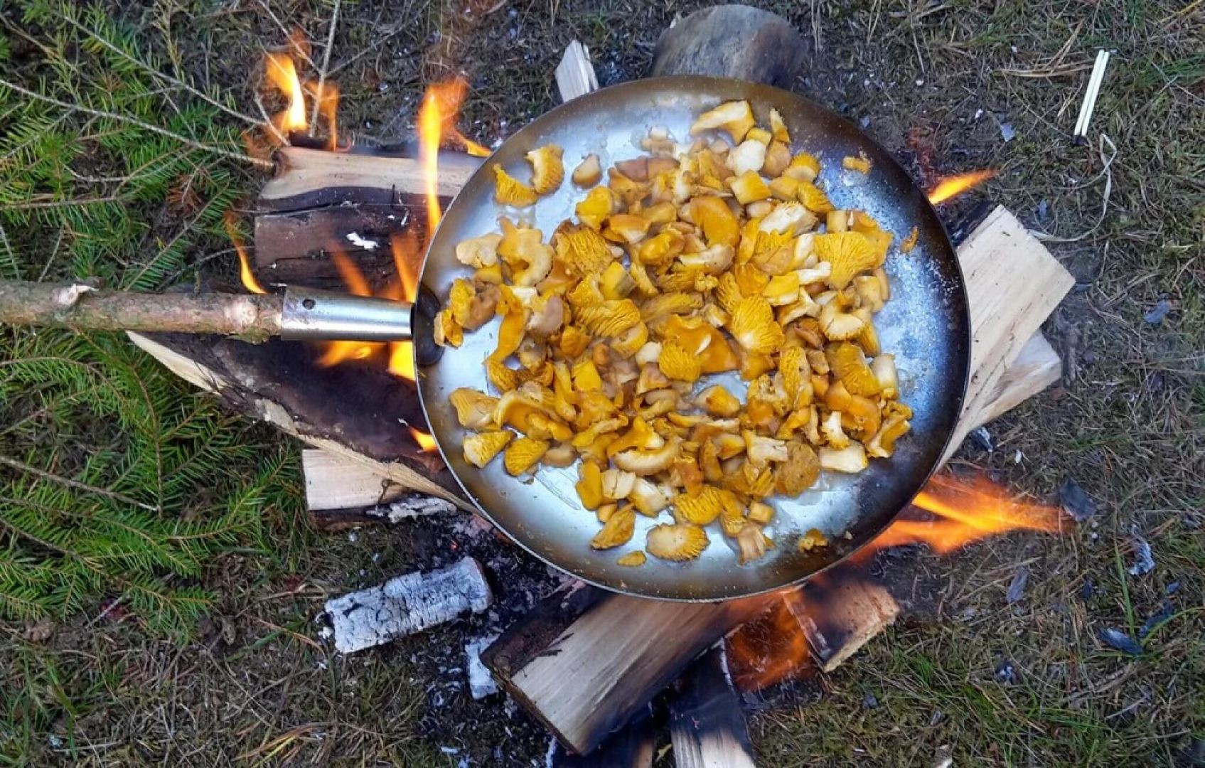 Amazing Home in Motala With 4 Bedrooms, Sauna and Wifi