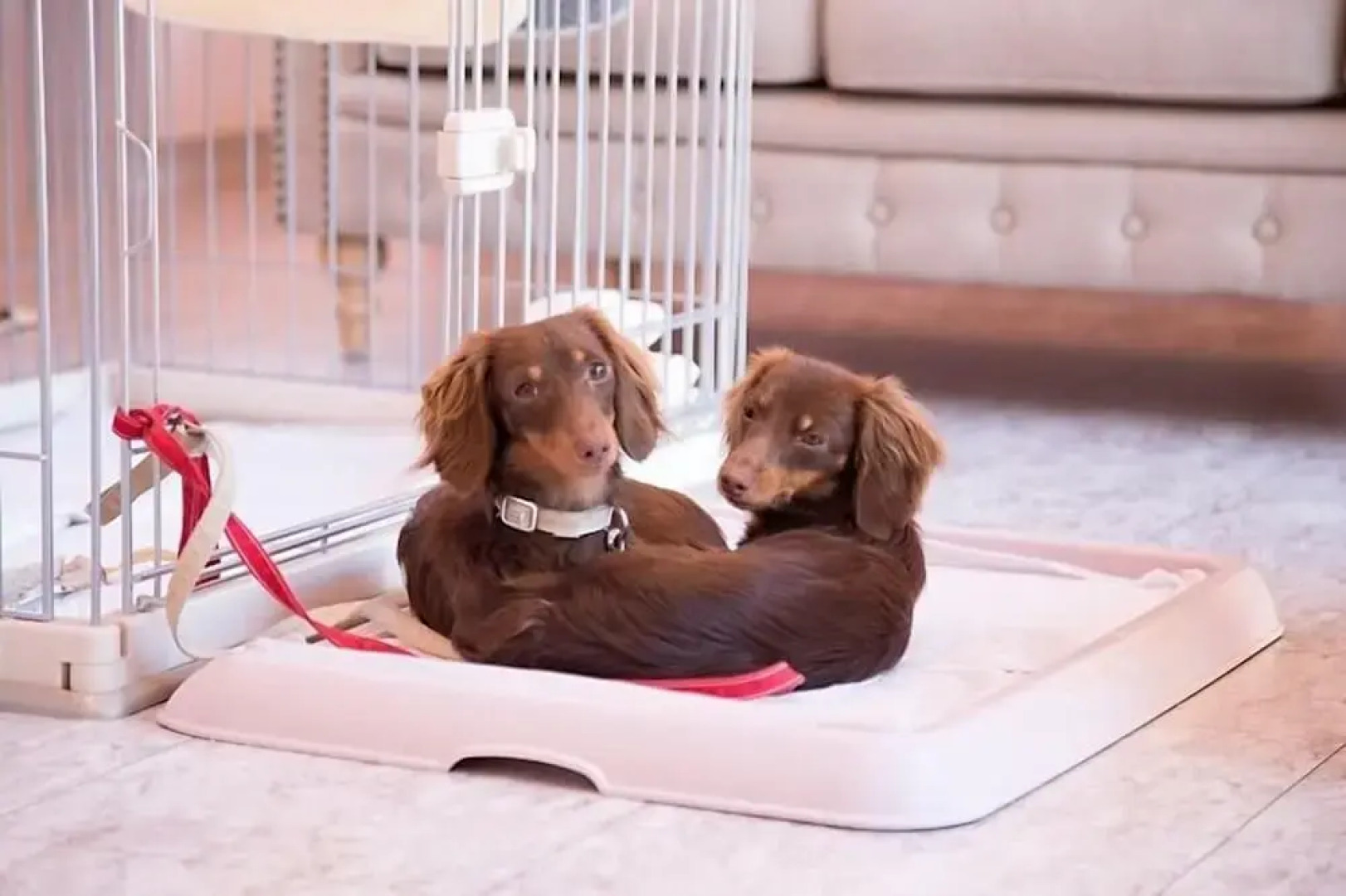 Ponta Village Karuizawa