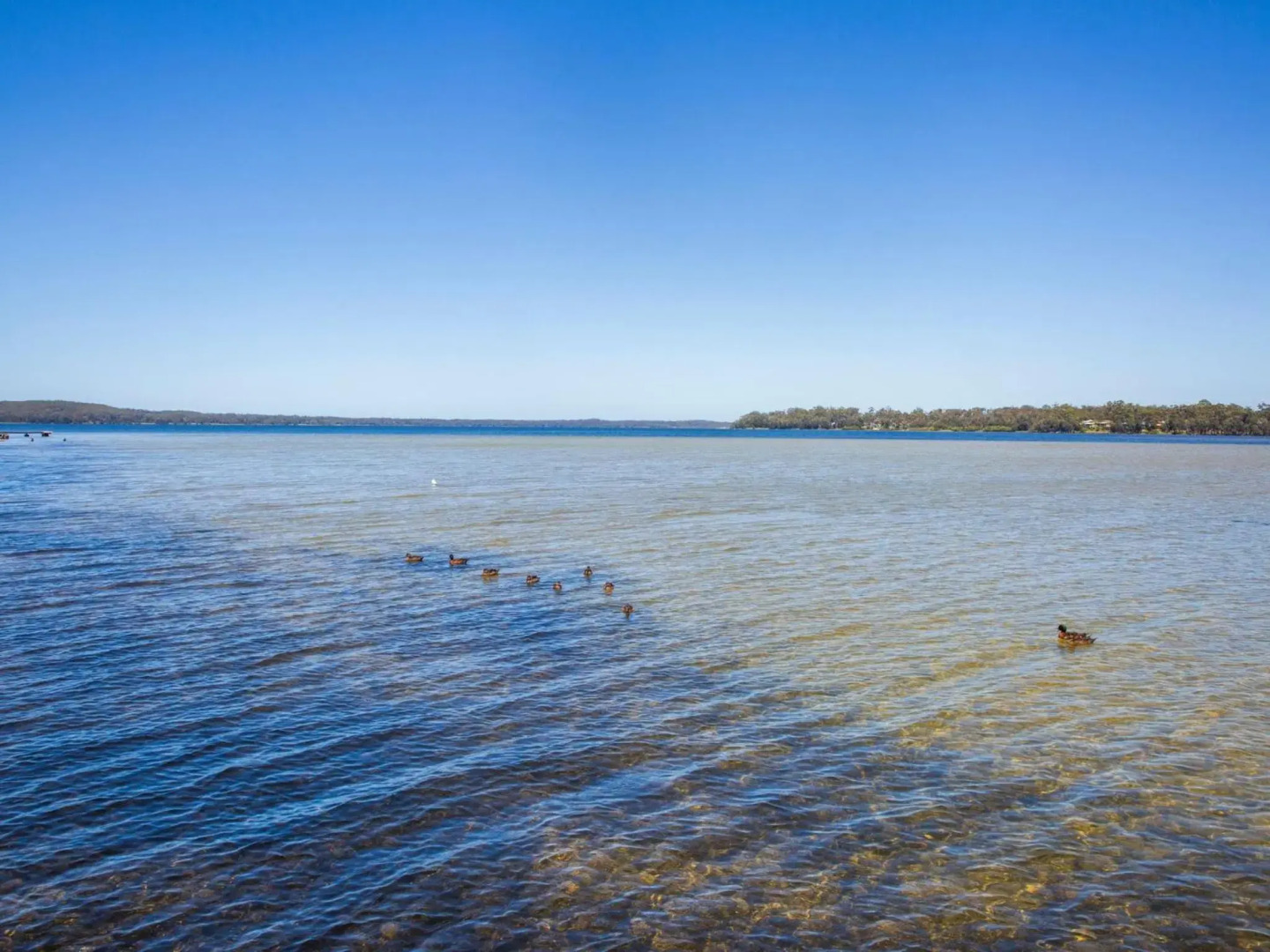Bayview - Absolute Waterfront with Jetty - 5 Mins to Hyams Beach