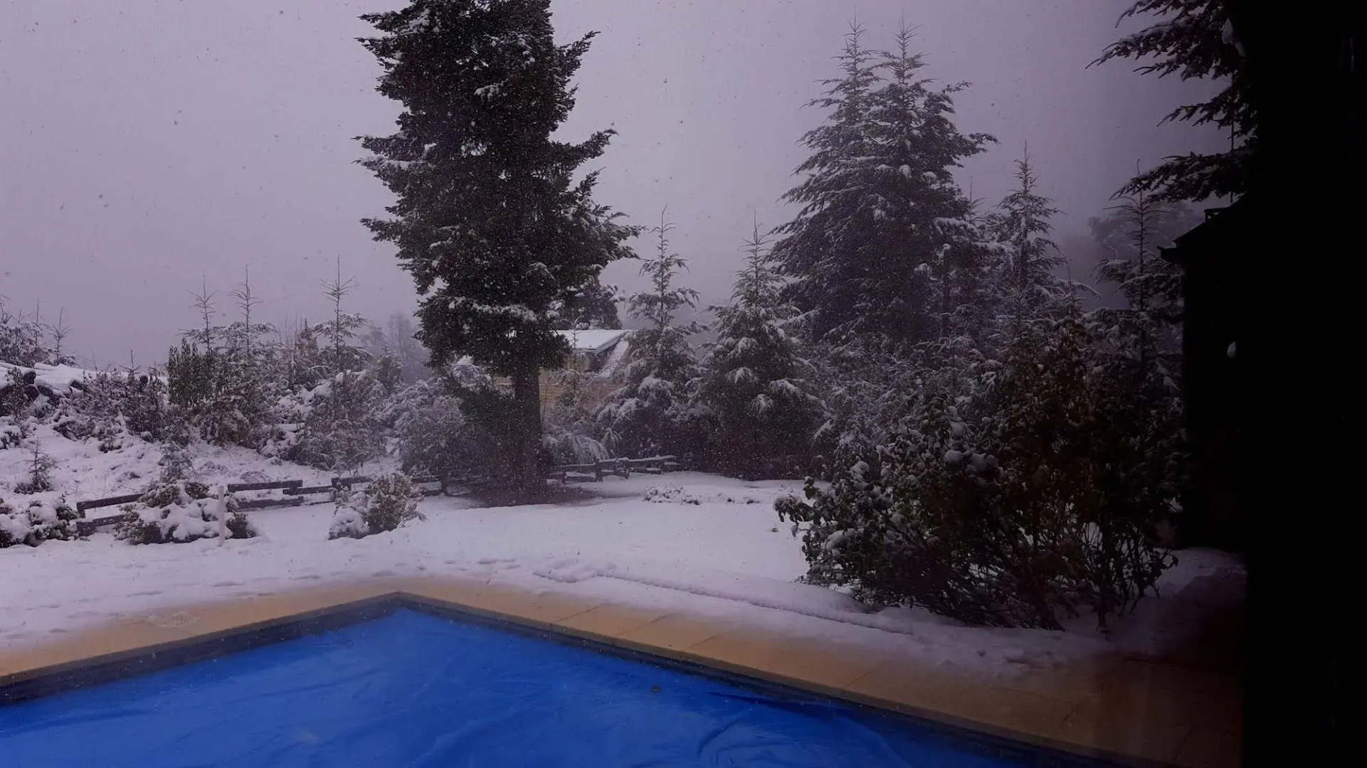 Casa del Bosque Apart, Suites & Spa