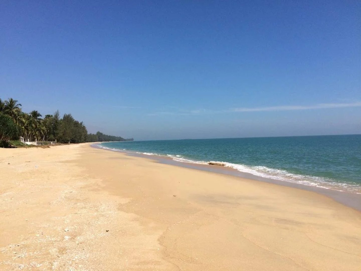 155 SalaCoco