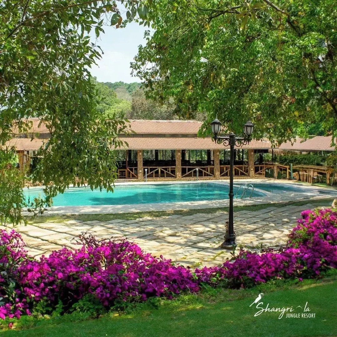 Shangri La Jungle Resort