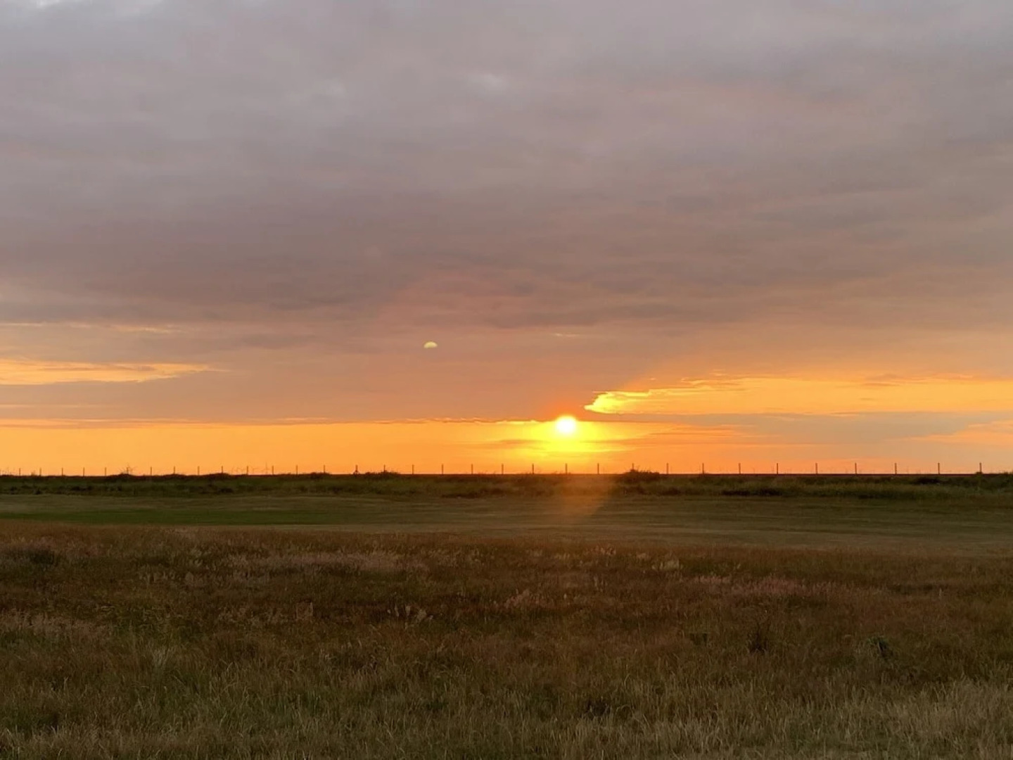 Beachcomber Seafront Pet Friendly Cottage