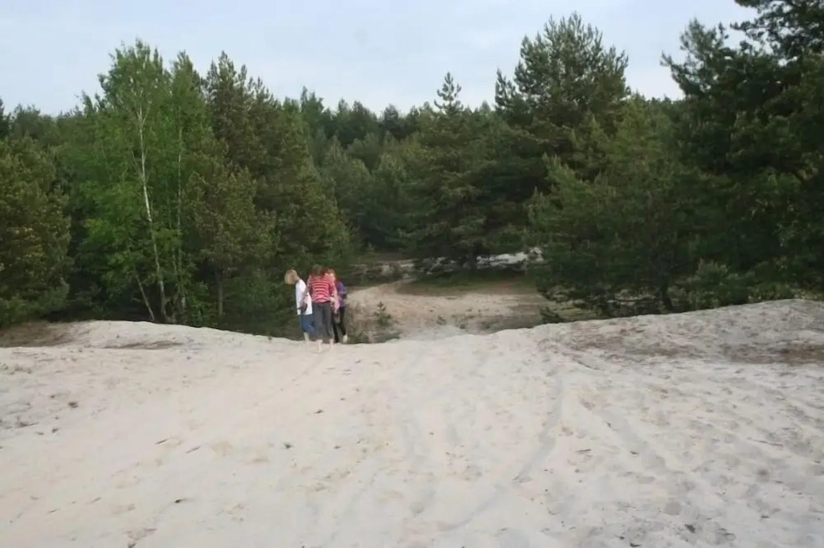 Ferienparadies Waldidylle