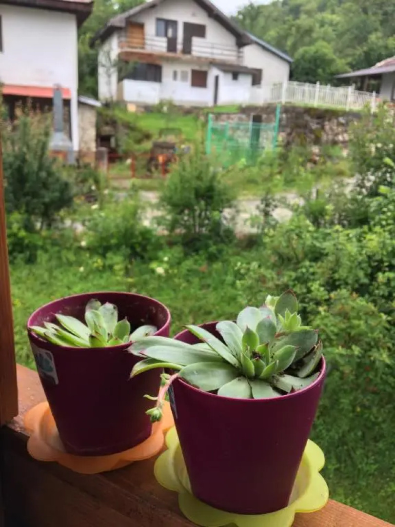 Macedonian Traditional House Yeti