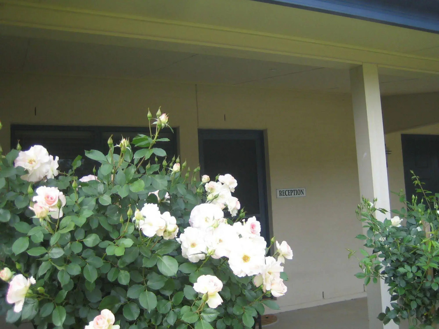 The Grange on Hermitage