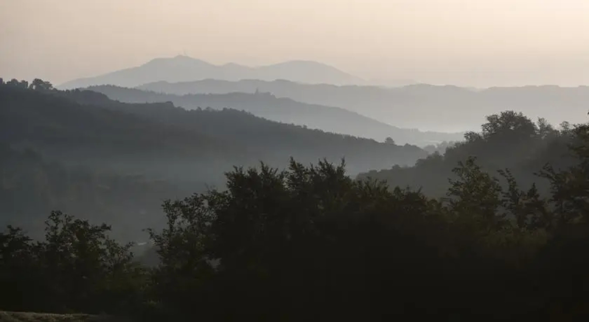 Agriturismo Il cucciolo