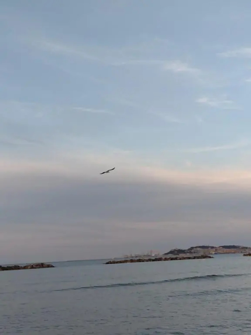 A un Passetto dal Conero