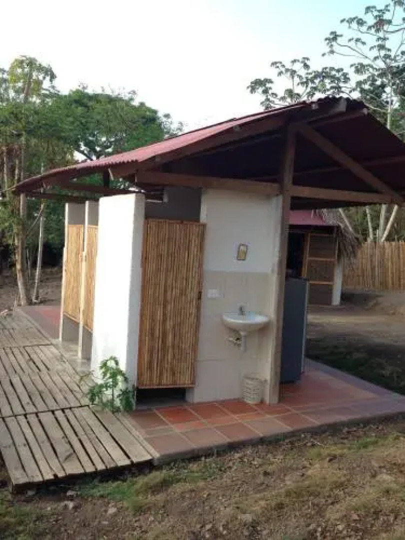 Jaguar Azul Palomino