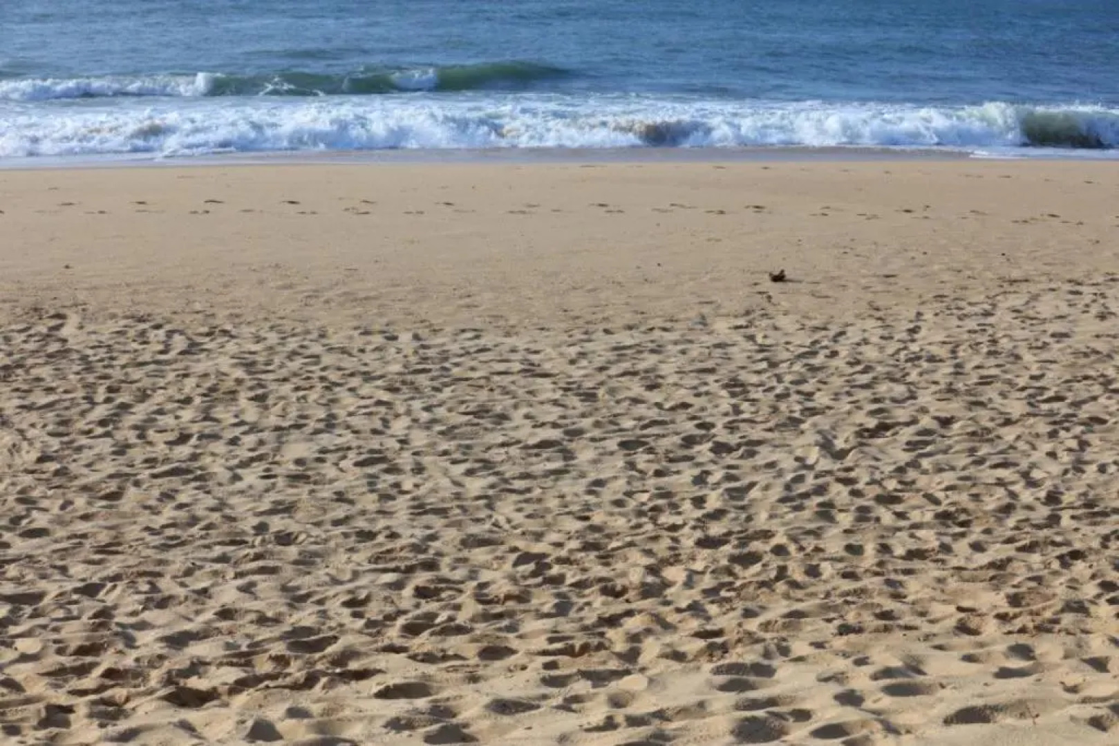 Mangrove Beach Cabana