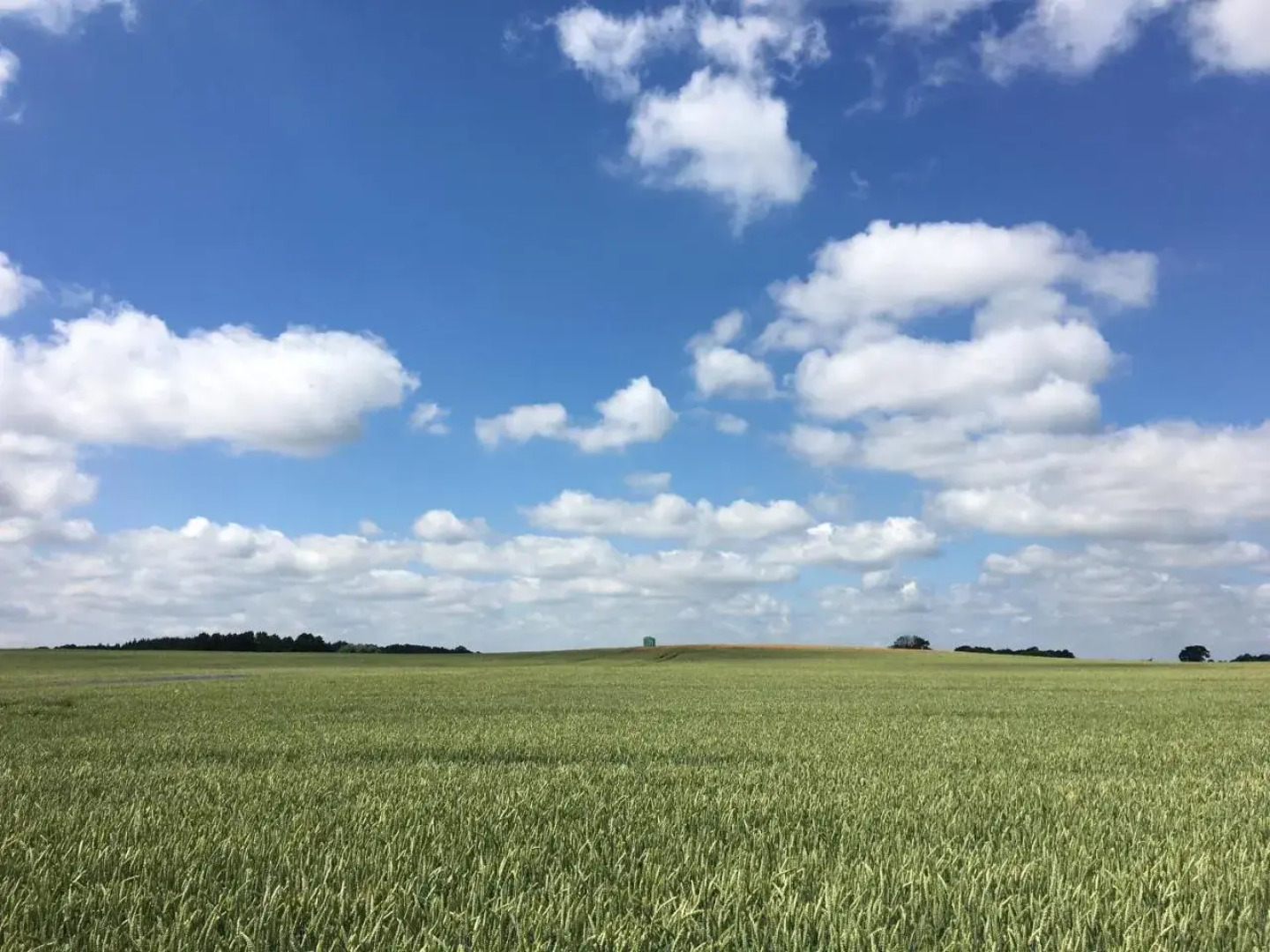 Apartmenthaus Lütt Meer