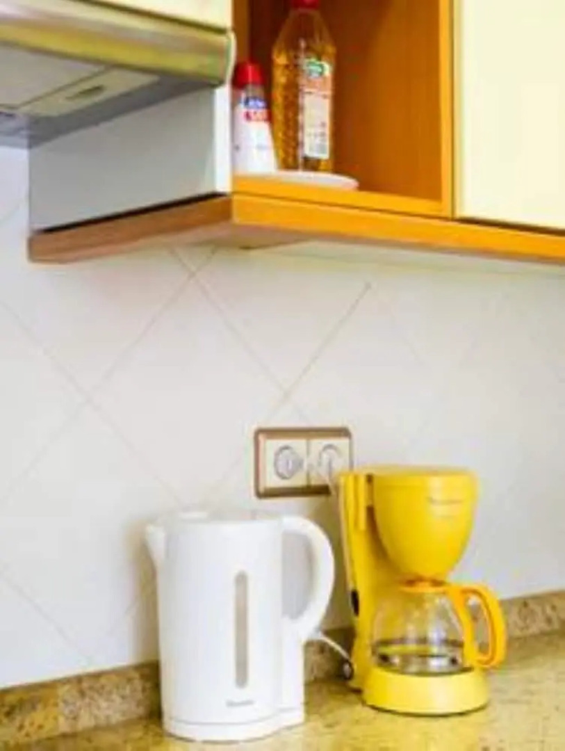 Sea Stars Las Canteras