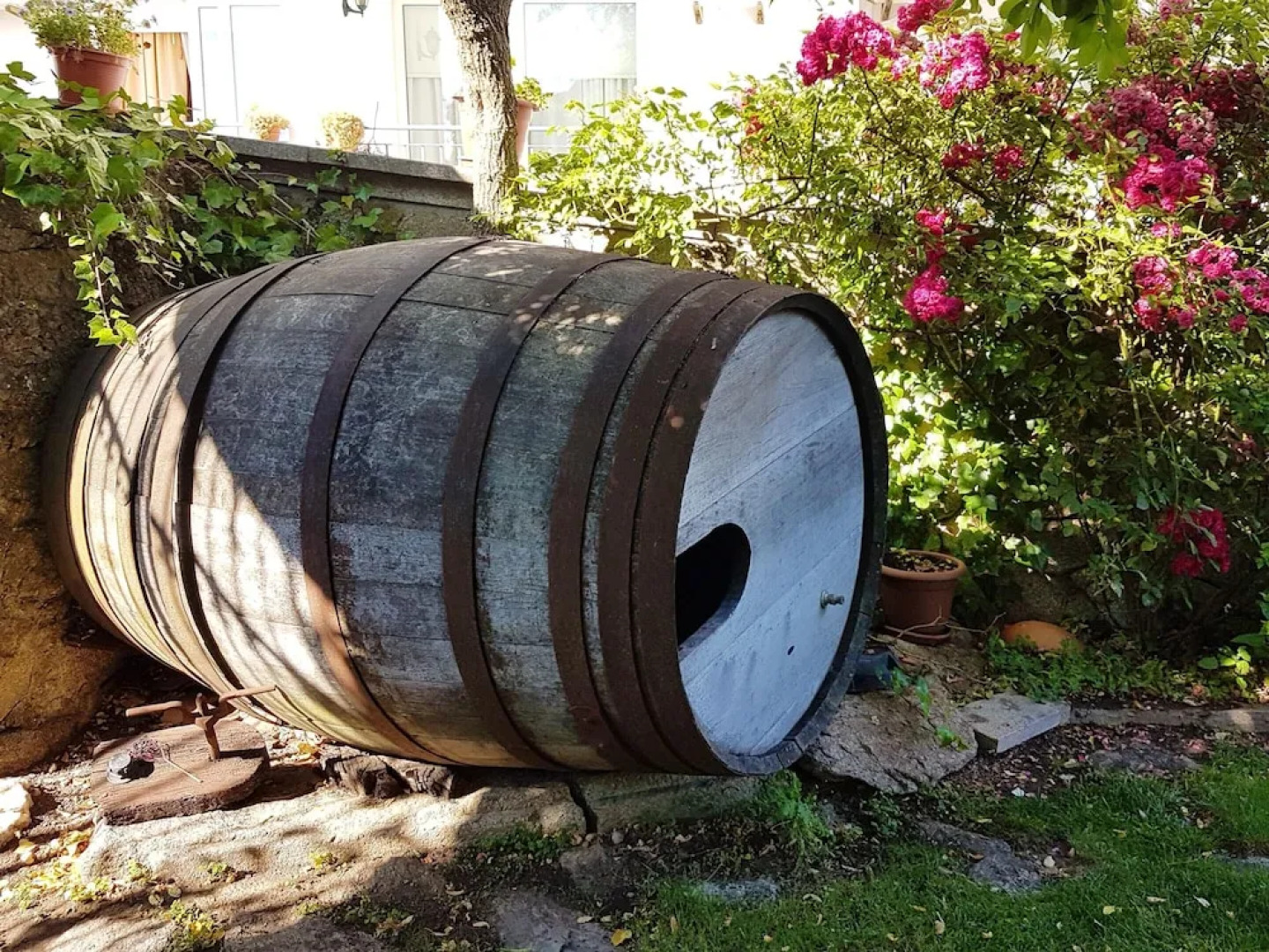 Mansion With 9 Bedrooms in Bemposta-mogadouro, With Private Pool, Encl