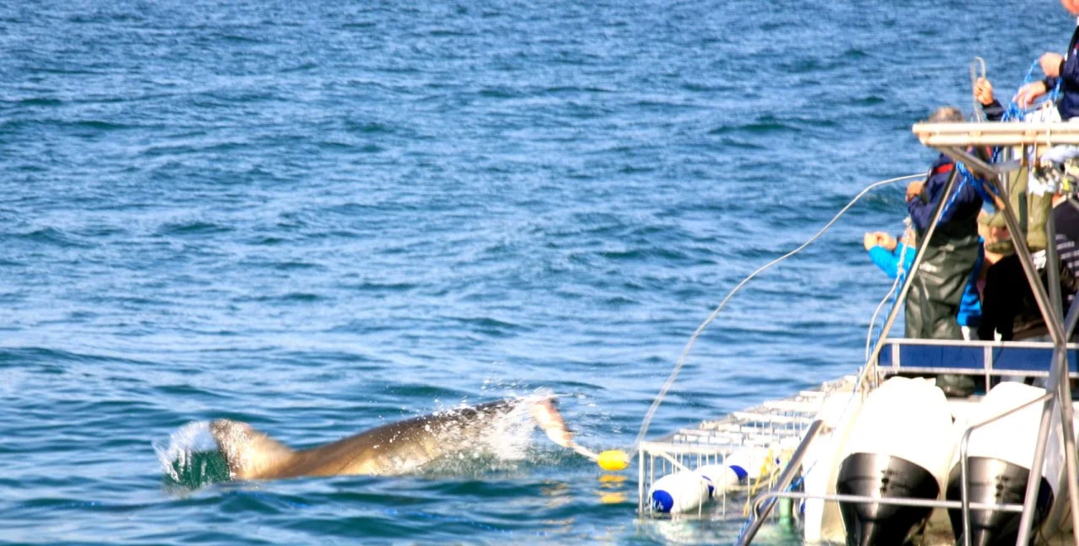 De Kelders Private Retreat