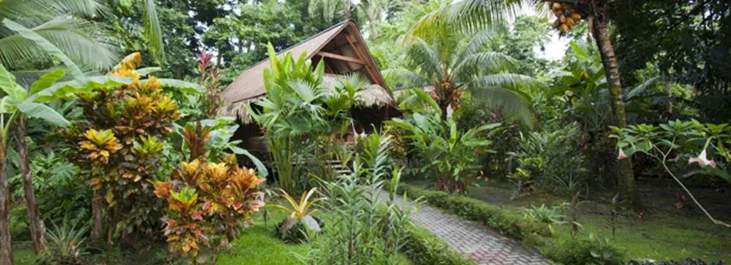 Azania Jungle House One or Two Bedroom with AC near the beach