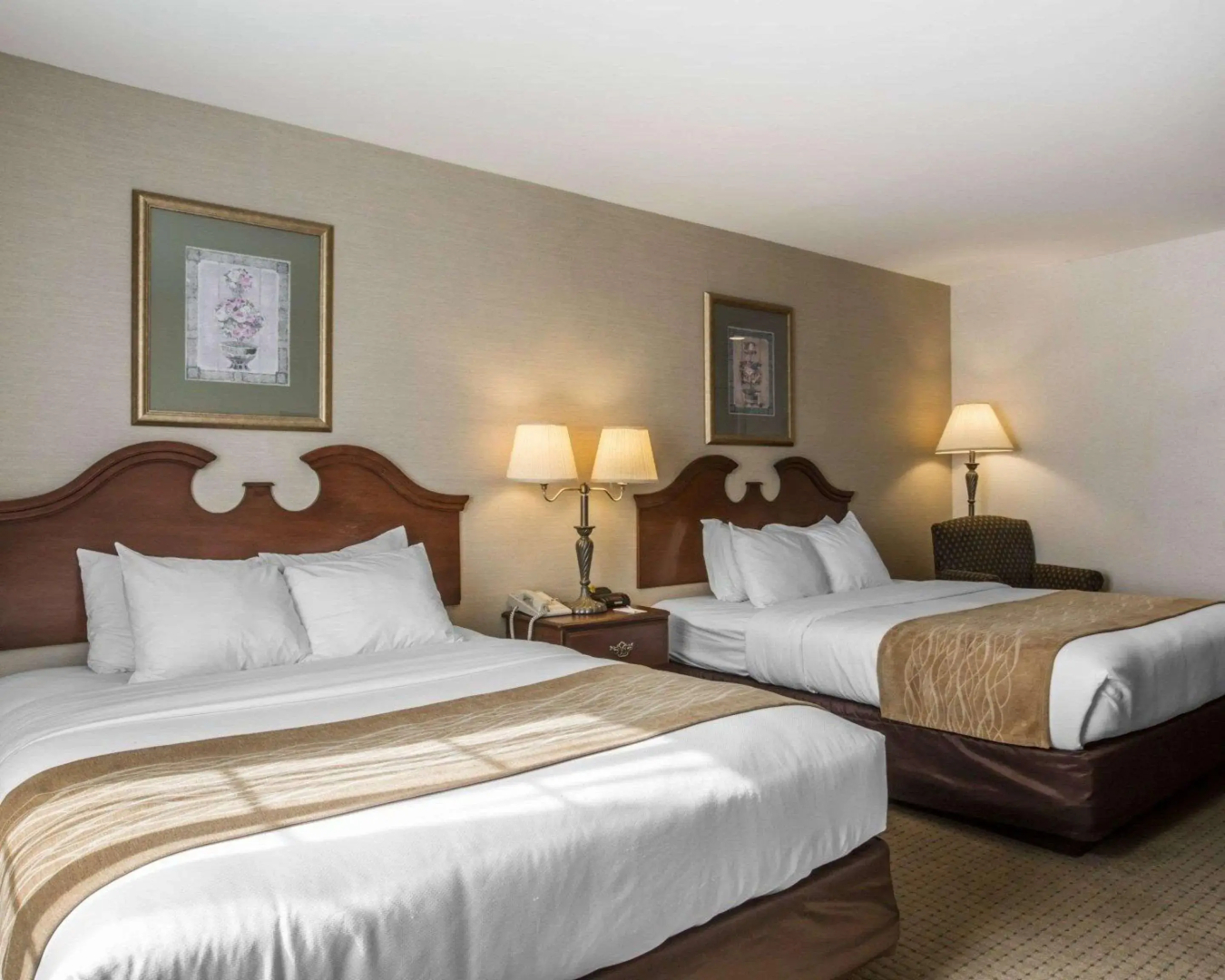 Comfort Inn & Suites East Greenbush - Albany