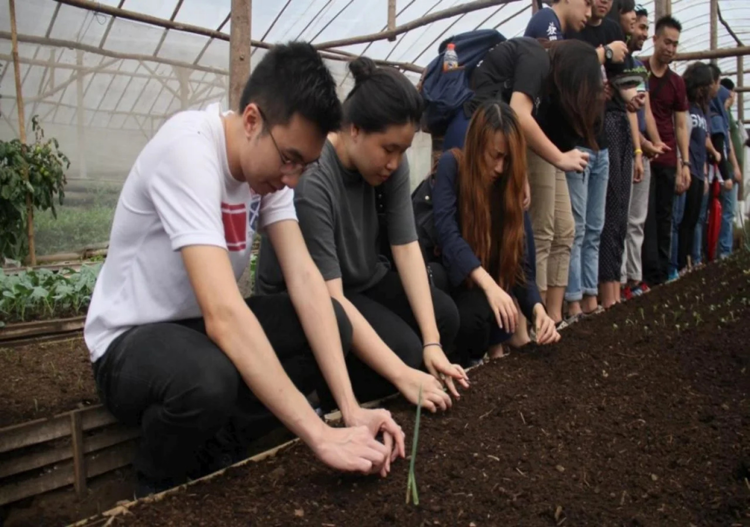 Kaliandra Sejati Eco Resort & Farm