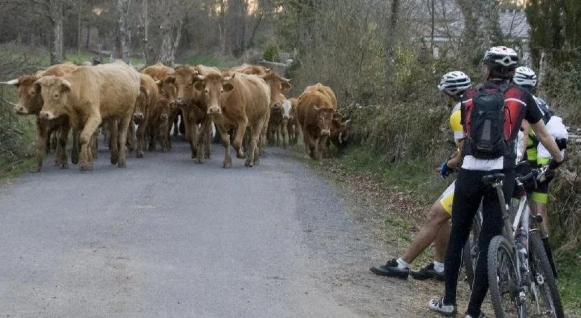 Hotel Nueva Allandesa