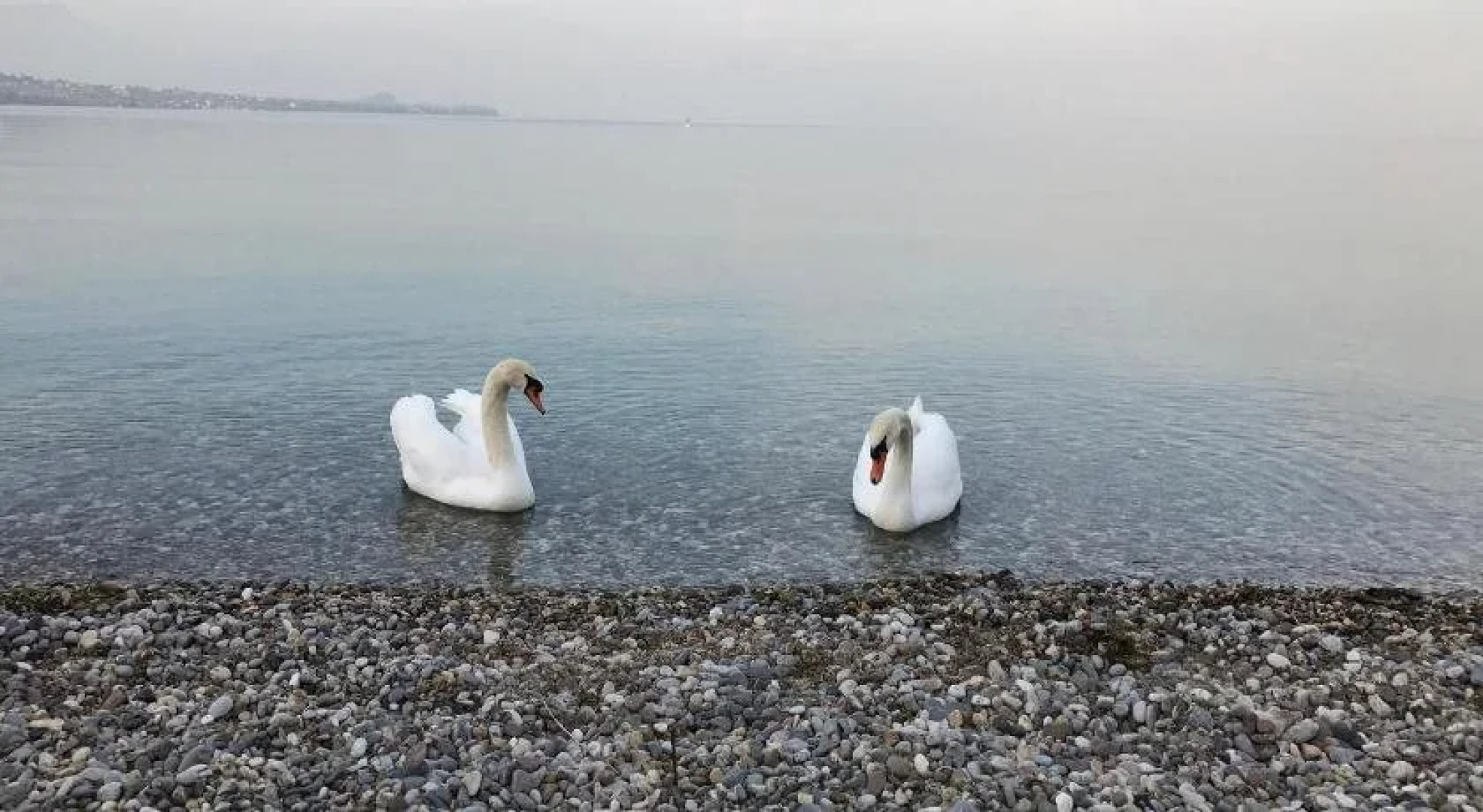 La Giolosa Wellness Resort