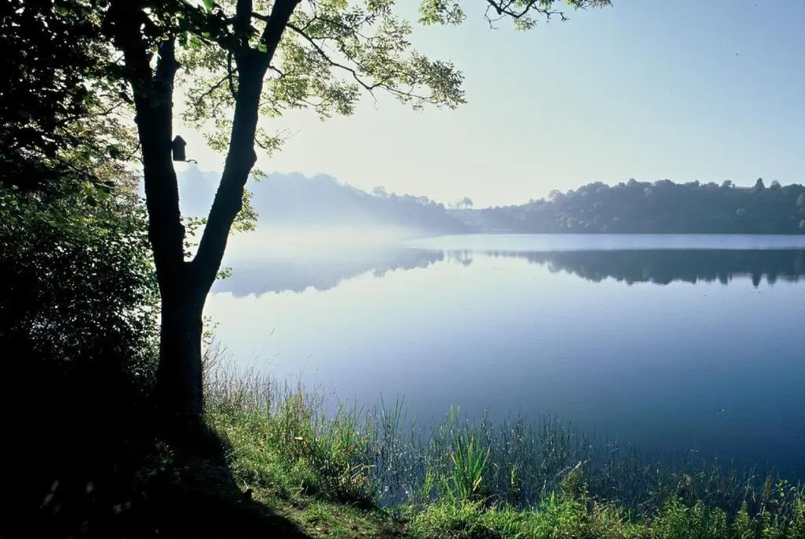Apartment am Wirschbach
