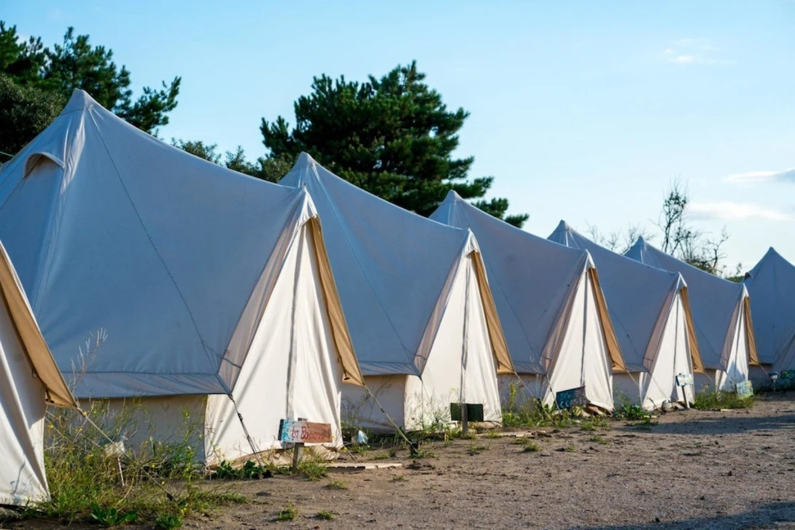 Surfana Surf Hostel Bloemendaal Campsite