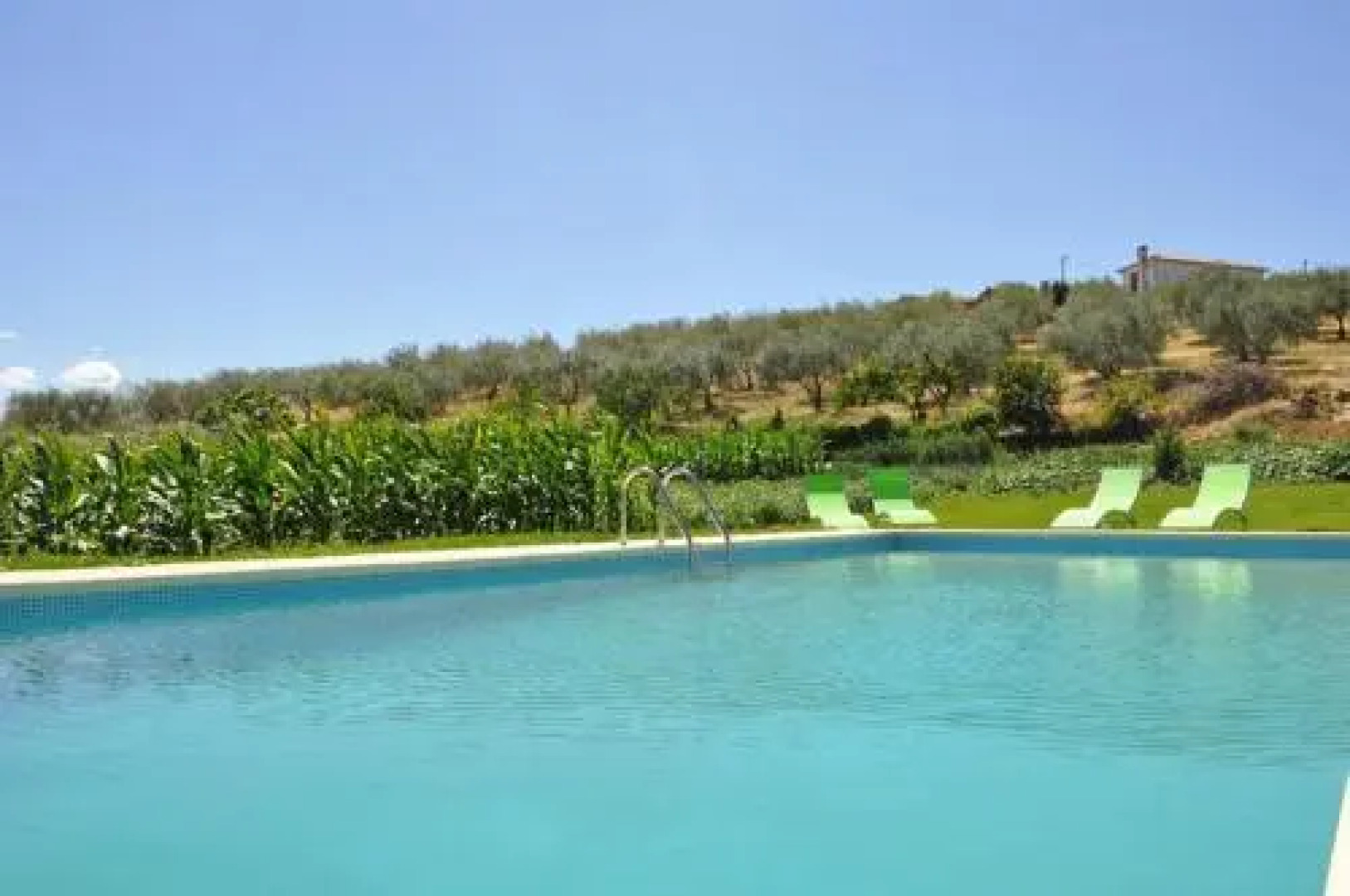 Quinta Rota d Oliveira