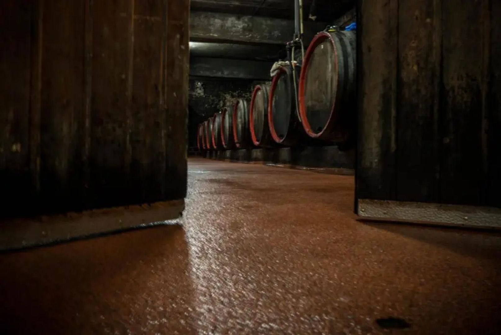 Weingut-Pension Tiliahof