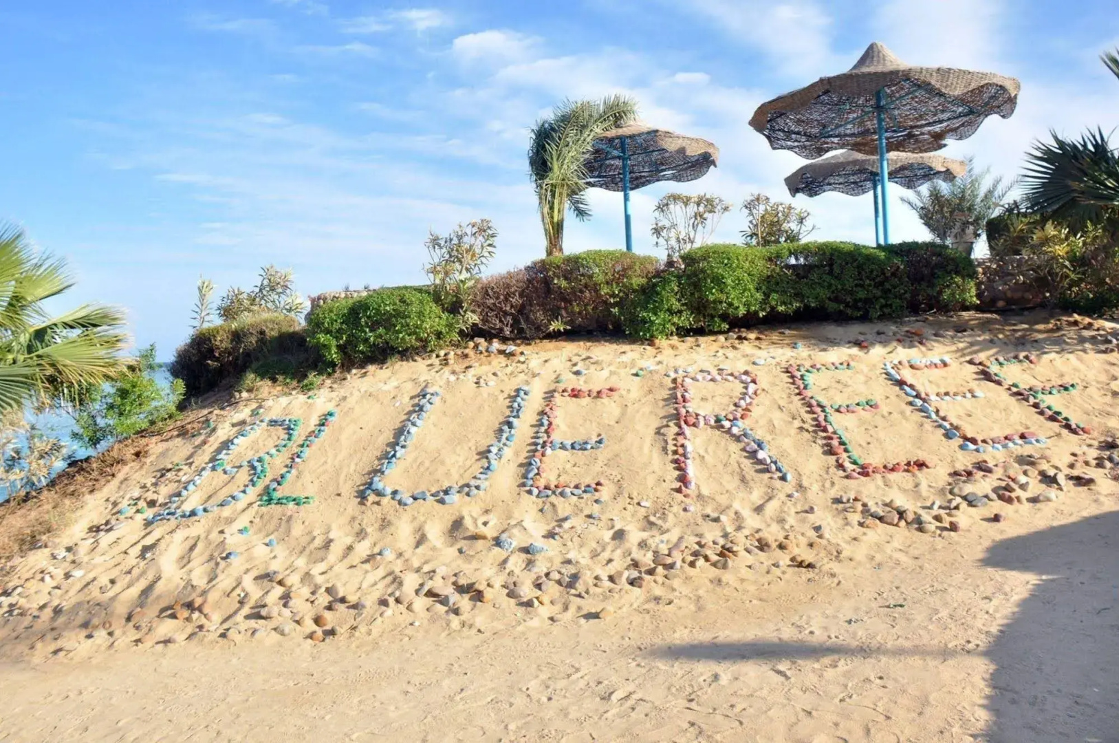Отель Reef Oasis Blue Bay Resort Families & Couples Only