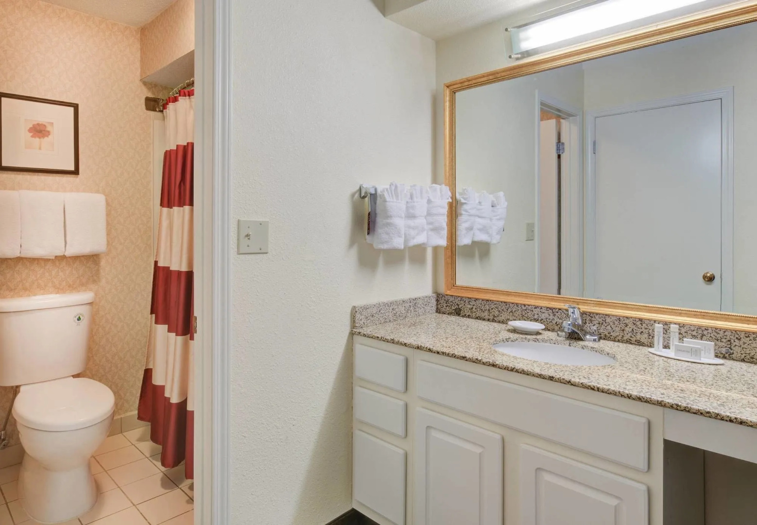 Residence Inn Raleigh Midtown