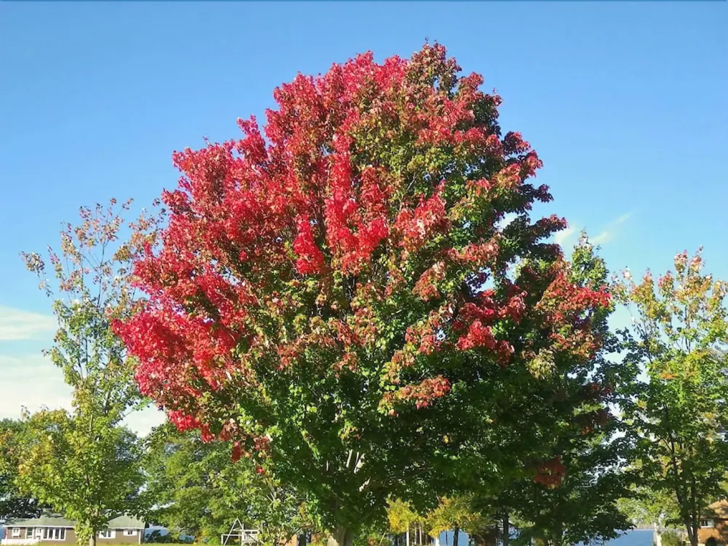 The Mission House Bed & Breakfast