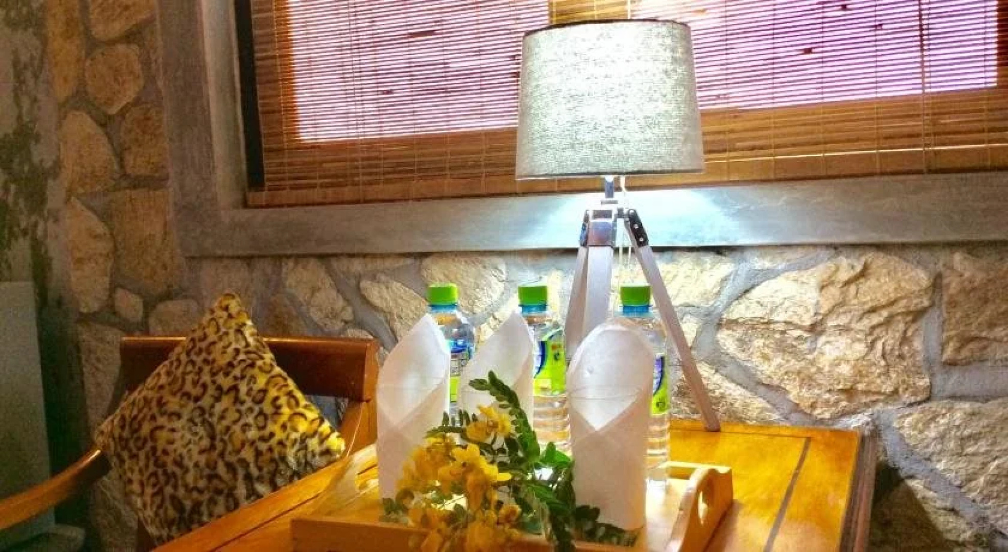 Leopard Corridor Yala