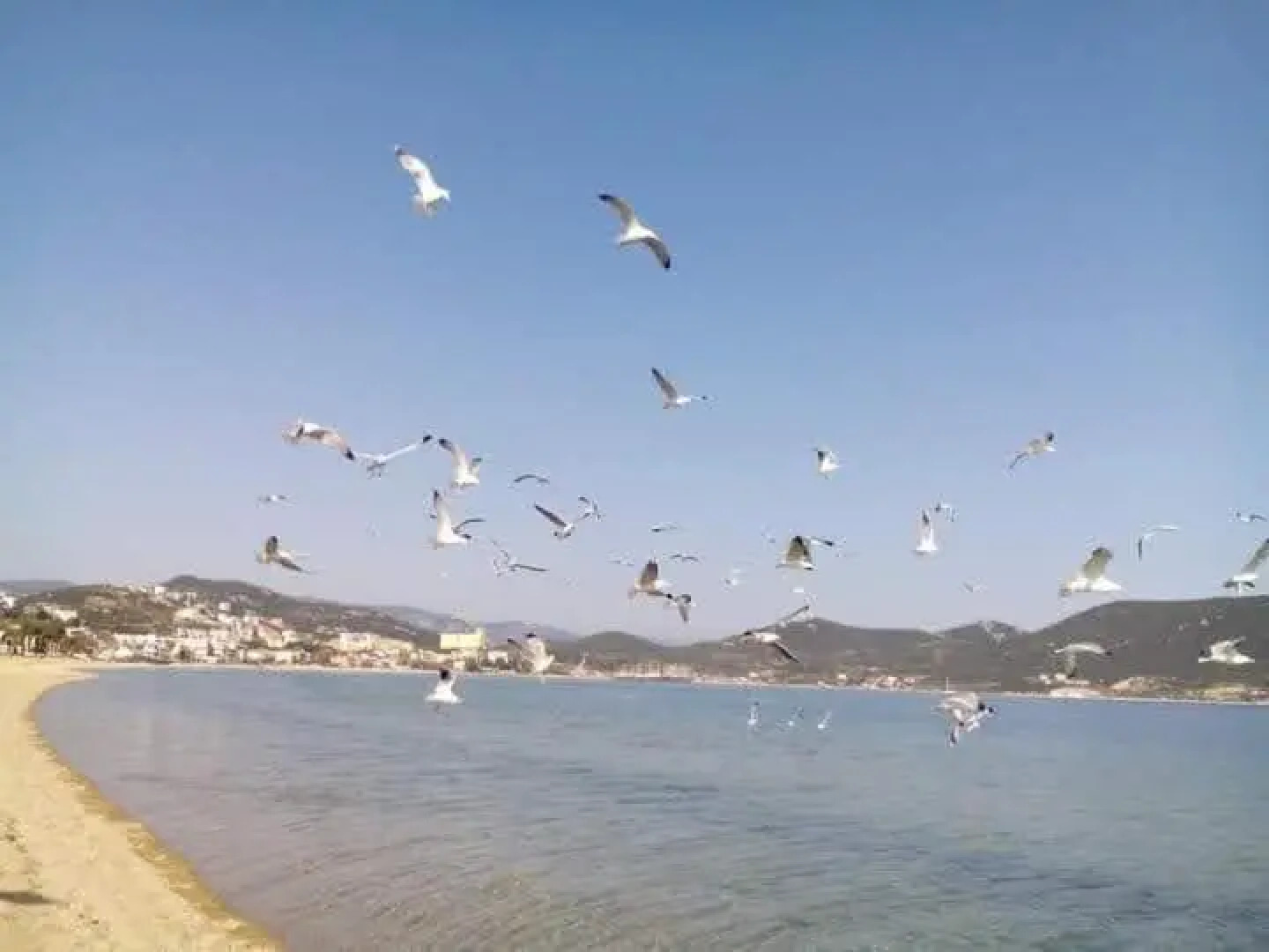 Anastasia's Apartment 2